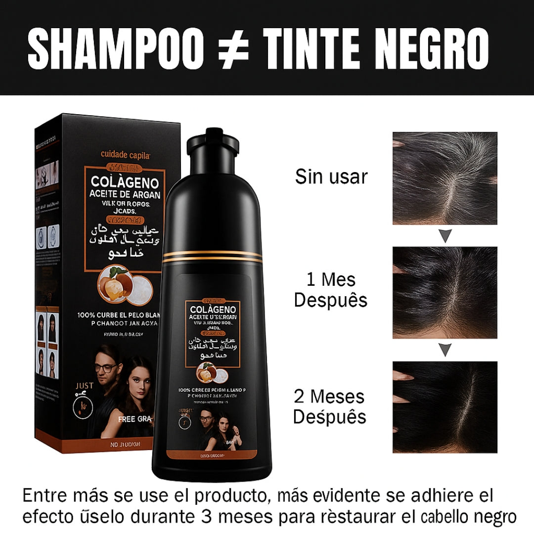 Champú Disaar Cubre Canas 3 en 1 Bote 400 ML